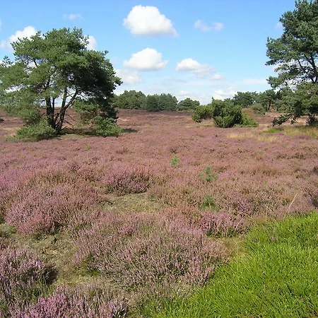 Vakantiehuis Haus An Der Heide