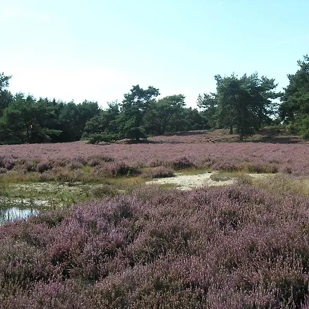 Vakantiehuis Haus An Der Heide Itterbeck