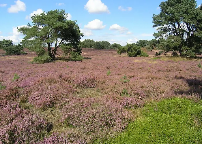 Дом отдыха Haus An Der Heide