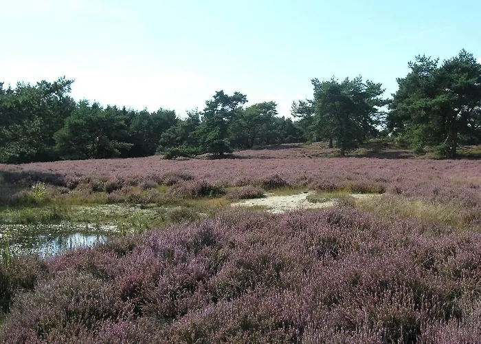 Дом отдыха Haus An Der Heide Itterbeck